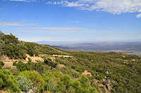 High Point Truck Trail on Palomar Mountain