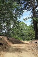 High Point Truck Trail on Palomar Mountain