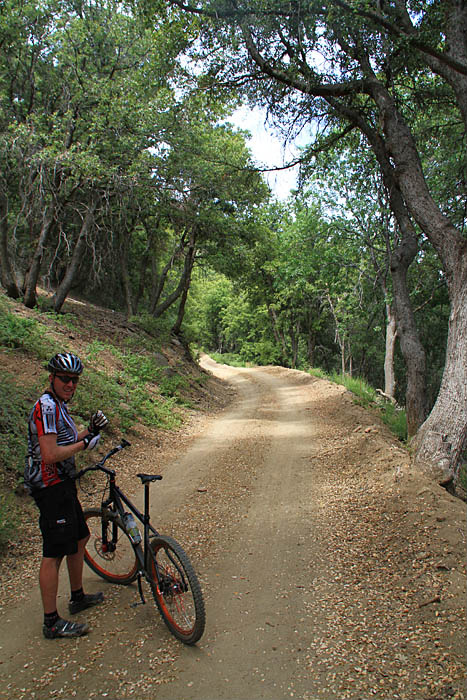 High Point Truck Trail on Palomar Mountain