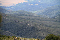 High Point Truck Trail on Palomar Mountain