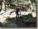 Miles riding through the creek