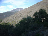 Trabuco23NOV02-08.jpg (67242 bytes)