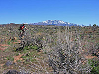 images/Trails/UT-BrokenMesa/roadtrip 056.jpg