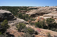 images/Trails/UT-Gooseberry2006/GooseberryMesa-8APR06-02.jpg