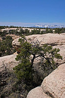 images/Trails/UT-Gooseberry2006/GooseberryMesa-8APR06-09.jpg