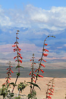 Little Creek Mesa