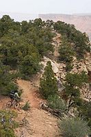 The Porcupine Rim Trail