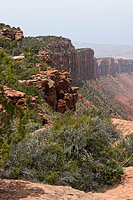 The Porcupine Rim Trail