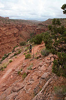 The Porcupine Rim Trail