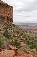 The Porcupine Rim Trail