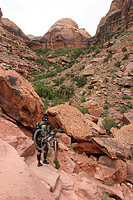 The Porcupine Rim Trail