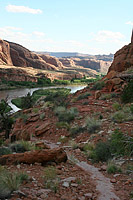 The Poison Spider Mesa and Portal Trail