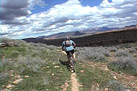 images/Trails/Utah-StGeorge/HurricaneCliffs3.jpg