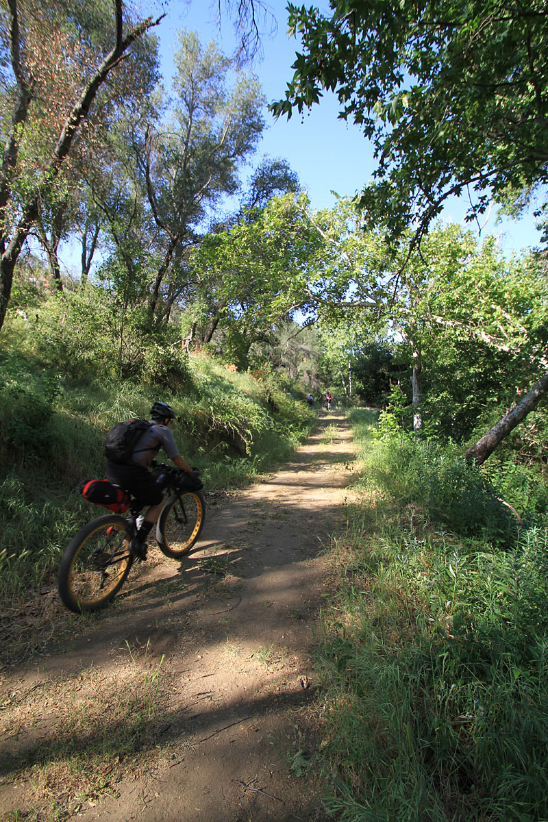 Coast To Crest Trail