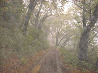 Cuyamaca-27APR02-15-MiddlePeakFR-2.jpg (63027 bytes)