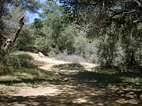 Cuyamaca-01-21APR02-JunctGreenValleySoapstone-1.jpg (107049 bytes)