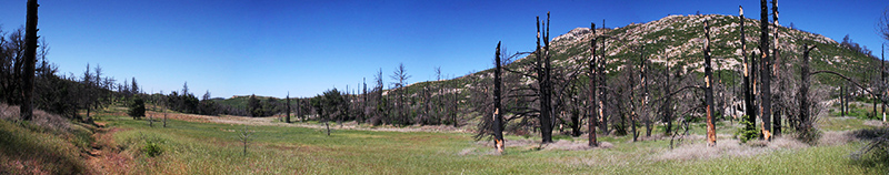 Cuyamaca Pan Shot