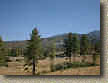 Johnson Meadow - Picture taken on a pre-ride on August 11th.