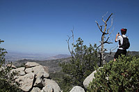 Idyllwild