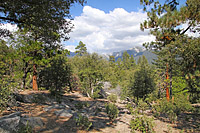 Idyllwild