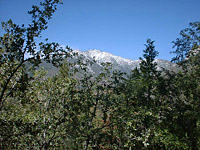 Idyllwild-22MAR03-10-ErnieMaxTrail.JPG (115197 bytes)