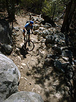 Idyllwild-22MAR03-16-ErnieMaxTrail.JPG (114881 bytes)