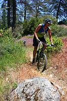 images/Trails/Idyllwild/Idyllwild-5JUN05-Pub-21.jpg