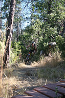 images/Trails/Idyllwild/IdyllwildMore/Idyllwild-03JUL05-10.jpg