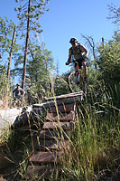 images/Trails/Idyllwild/IdyllwildMore/Idyllwild-03JUL05-16.jpg