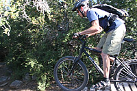 images/Trails/Idyllwild/IdyllwildMore/Idyllwild-03JUL05-27.jpg