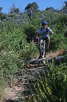 images/Trails/Idyllwild/IdyllwildMore/Idyllwild-03JUL05-40.jpg