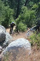 images/Trails/Idyllwild/IdyllwildMore/Idyllwild-03JUL05-51.jpg