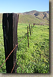 The Otay Mountain Loop