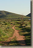 The Otay Mountain Loop