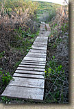 The Otay Mountain Loop