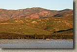 The Otay Mountain Loop